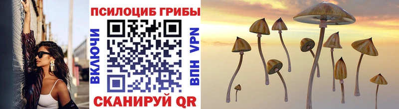 Купить  Арсеньев  Галлюциногенные грибы MAGIC MUSHROOMS 